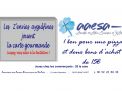 carte annonce jeu  AAESA 21 X 10 21 02 2019.jpg
